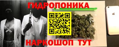 гидра Волжский