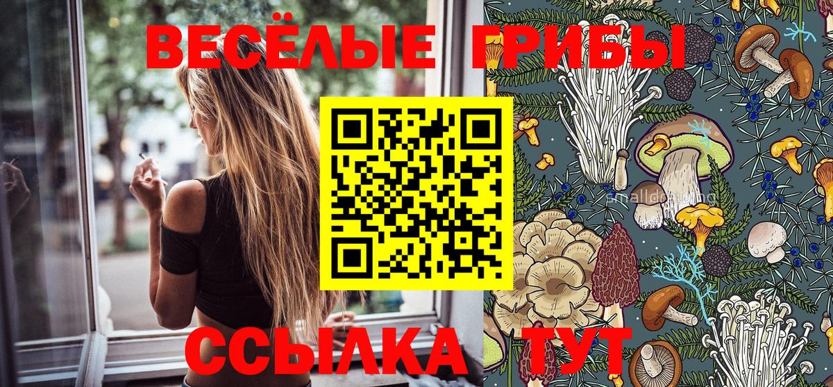 Псилоцибиновые грибы GOLDEN TEACHER  цена наркотик  Ржев 