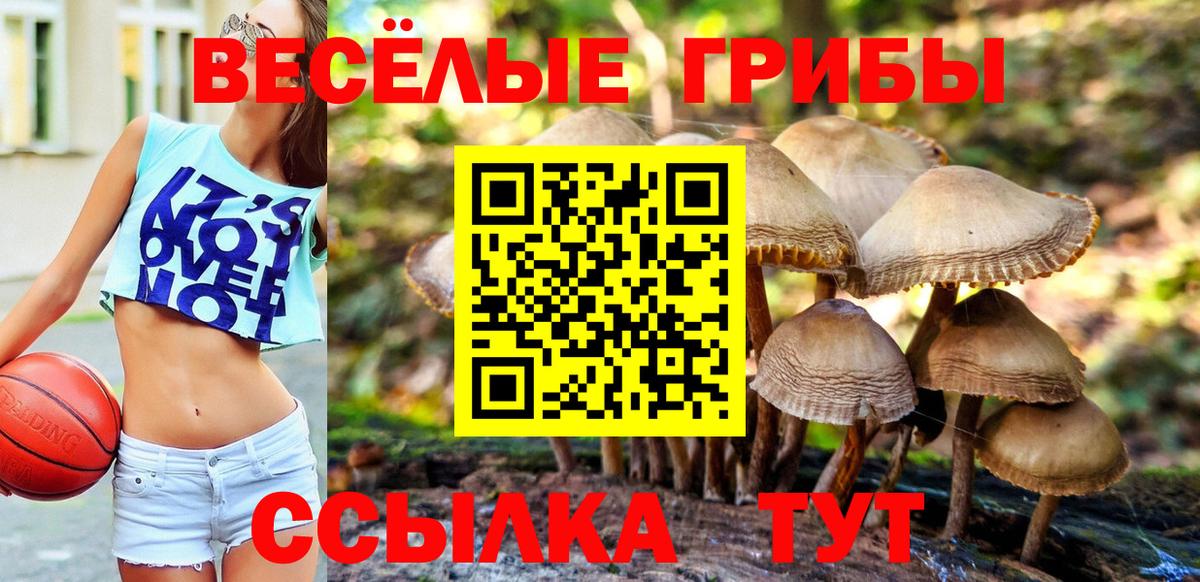 Галлюциногенные грибы мухоморы Ржев