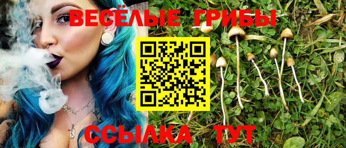 Галлюциногенные грибы MAGIC MUSHROOMS Ржев