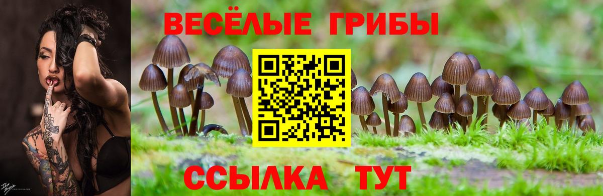 Ржев  Галлюциногенные грибы Psilocybe  как найти закладки  Вход с VPN 
