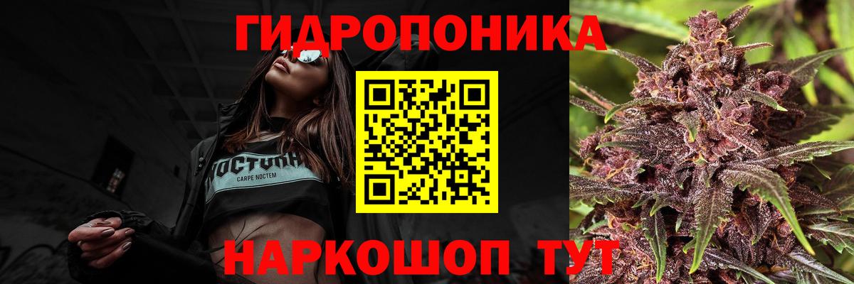 Шишки марихуана Ganja  Бошки Шишки сатива  Ржев 